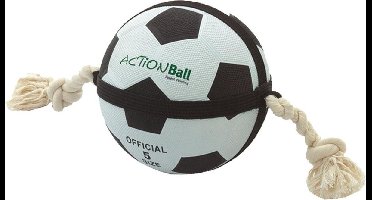 Flamingo HS MATCHBALL VOETBAL 22CM