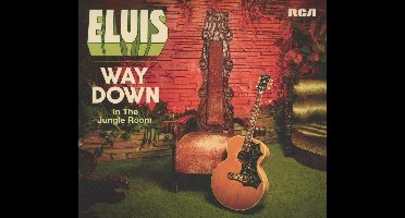 Way Down In The Jungle Room