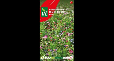 Bloemenweide Nectar - Eenjarig mengsel dat bijen en vlinders aantrekt
