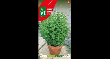 Marjolein Zaden - Aromatisch Kruid voor Tuinen en Mediterrane Gerechten