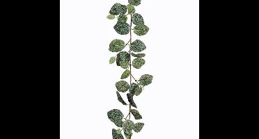 Kunstplant Fittonia Groen - Slinger - L180cm - Mica Decorations