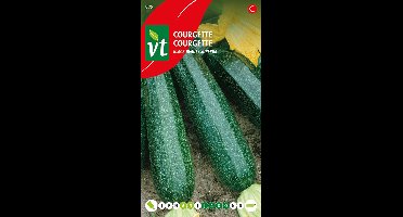 Courgette 'Black Beauty Superba' Zaden - Rijke oogst van glanzend donkergroene courgettes