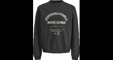 Jack & Jones Junior Sweatshirt Sweatshirt Junior