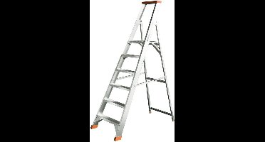 Ivana Industrietrap - Enkel - 6 Treden - 1,33m