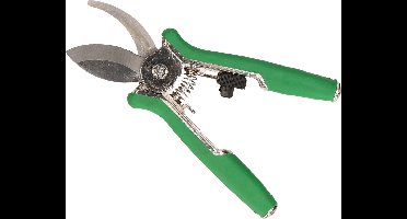 Benson Bloemenschaar - RVS - snoeischaar - voor bloemen en planten - 15 cm