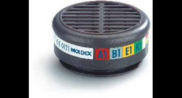 Moldex gasfilter 8900 a1b1e1k1 ( a 2 st )