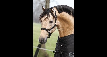 MASTER halster metallic black-Pony