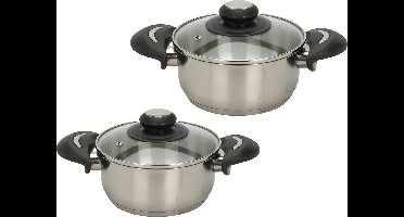 Excellent Houseware Kookpannen set - 2x - glazen deksel - RVS - 1.4 en 2.7 liter