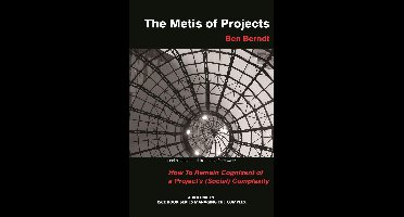 The Metis of Projects