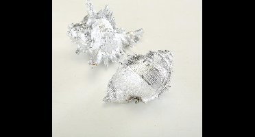 Schelp - Zeefruit - Decoratie - 2 set - zilver - 14 cm