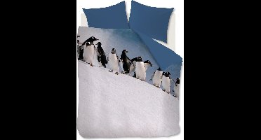 Ambiante Penguins dekbedovertrek - Lits-Jumeaux - 240x200/220 - IJsblauw