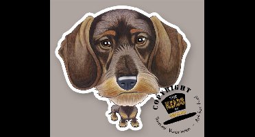 Magneet Hond Draadharige Teckel