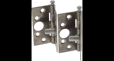 Starx Scharnier RVS Lospen 76x76mm SKG1