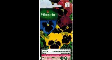 Viooltje Zwitserse Reuzen Gemengd - Viola x wittrockiana