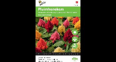 Buzzy Seeds - Pluimhanekam Ice Cream mixed (Celosia Plumosa)