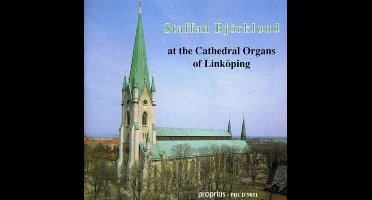 At the Cathedral Organs of Linkoping