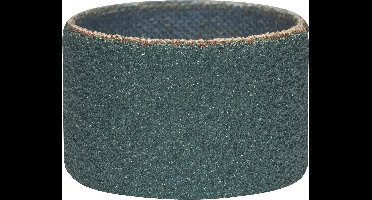 Bosch - Slijphuls 80, Ø30 x 20 mm