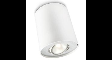 Philips Pillar opbouwspot - 1-lichts
