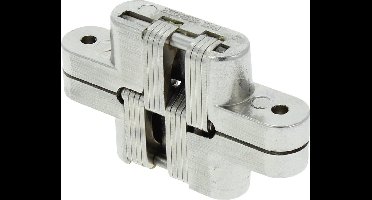 Starx Scharnier Onzichtbaar 19X95mm Nikkel