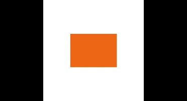 Folia Tekenpapier licht oranje 50X70/130G