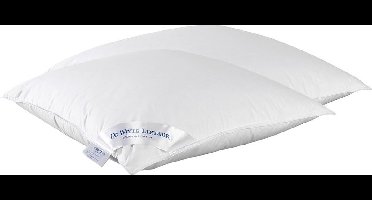 De Witte Lietaer Hoofdkussen Dream - 60 x 60 cm - Polyestervulling