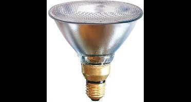 Kerbl Spaarlamp - 100w - wit