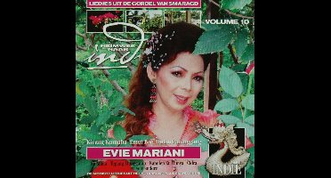 Heimwee Naar Indie Vol. 10