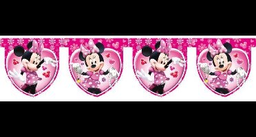 Minnie Mouse vlaggenlijn 3 meter