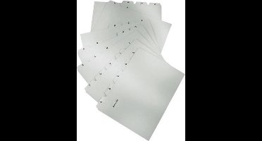 Kaarten HAN A8 met lijn - 100 kaarten