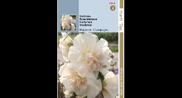 Hortitops Althaea Majorette Champaign