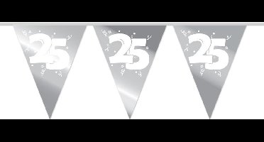 Slingers 25 Zilver 10m