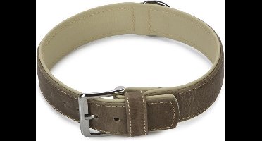 Beeztees Comfort - Halsband Hond - Leer - Grijs - 65 cm x 40 mm