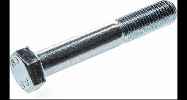 Zeskantbout Verzinkt 8.8 M16X80 - 5511213