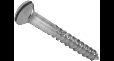 Homefix Houtschroef Nikkel - Lenskop - 4,0 x 50 mm - 12 stuks