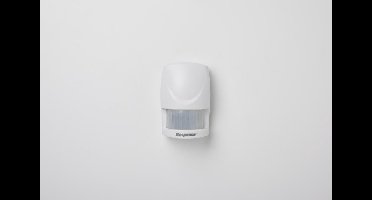 Friedland Bewegingsmelder hw2f