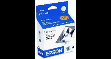 Epson Black Ink Cartridge