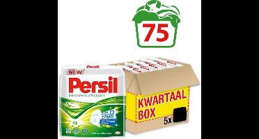 Persil Megaperls Power Waspoeder - Poeder Wasmiddel - Voordeelverpakking - 5 x 15 wasbeurten