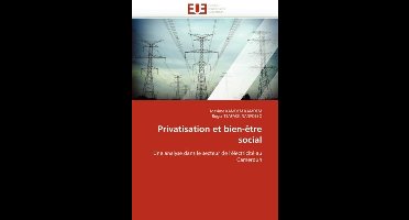 Privatisation et bien-être social