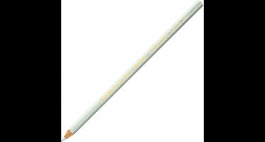 Caran d'Ache Supracolor aquarel potlood 401 ash grey