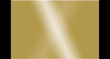 Tekenpapier Folia goud - zijdeglans 50x70cm 130gr pak 2