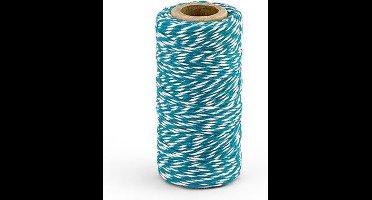 Partydeco - Decoratie touw Aqua (50 meter)