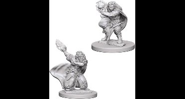 D&D Miniatures Dwarf Female Wizard