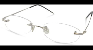 Leesbril Eschenbach Thin Round-Zilver-+3.00