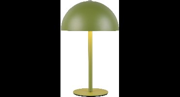 REALITY MUNOZ - Tafellamp - Groen - incl. 1x SMD 1,3 W - 4-stappen TOUCH - USB-aansluiting - Oplaadbaar - Snoerloos