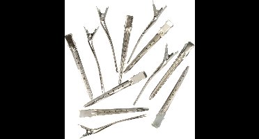 New Age Devi - Haarspeld klemmen - 8cm Zilver kleurig