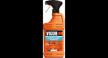 VIGOR - Krachtige ontkalker 2x 650 ml