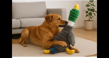 Boon Eend Corduroy - XXL