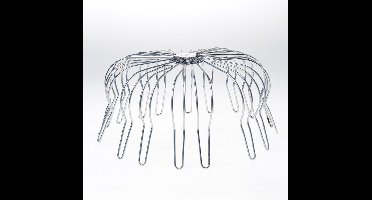 Boldraadrooster gegalvaniseerd diameter 200mm