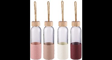 alpina Drinkfles 500Ml 4As