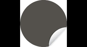 WallCircle - Muurstickers - Behangcirkel - Grijs - Kleuren - Effen - ⌀ 30 cm - Muurcirkel - Zelfklevend - Ronde Behangsticker